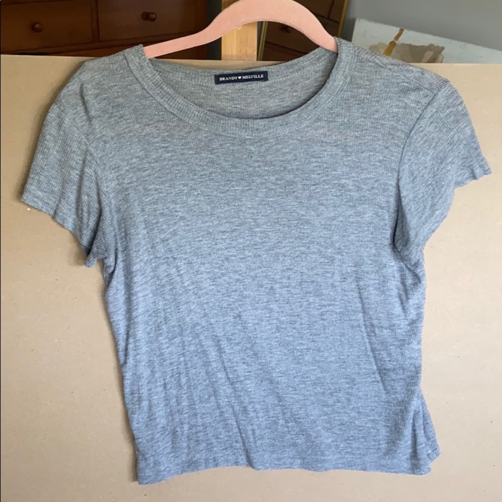Brandy Melville gray crop top tee